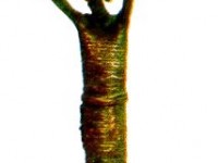 Statuetka nagrody "Proton"